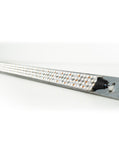 RENTAL - 8ft Bi-Colour Quad Row LED on Aluminum bar