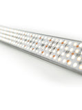 RENTAL - 8ft Bi-Colour Quad Row LED on Aluminum bar